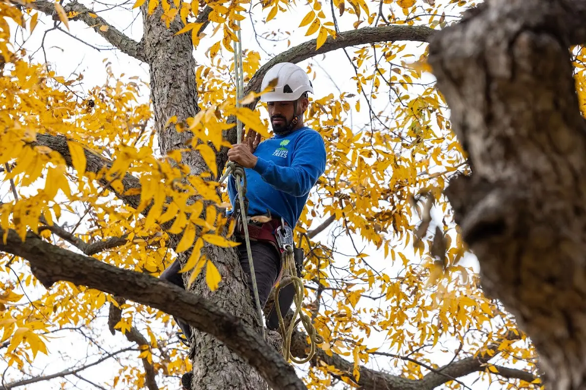 Skilled Storm Damage Cleanup crew working in Huntington